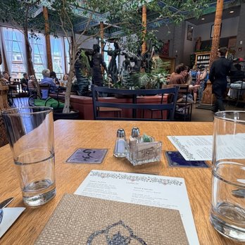 Boulder Dushanbe Teahouse - Inside - Tea Rooms Near Me - Boulder, Colorado