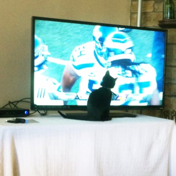 PawsCo - He likes the footballing :) - Animal Shelters Near Me