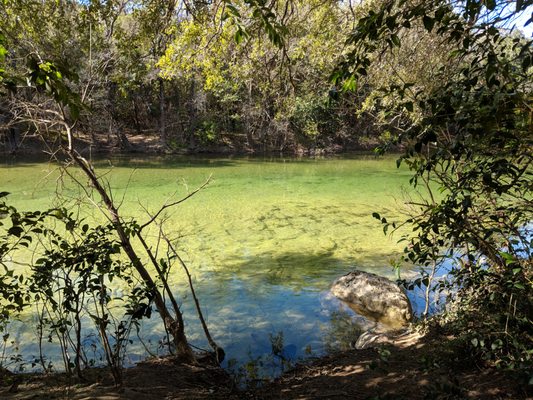 Barton Creek Greenbelt by null