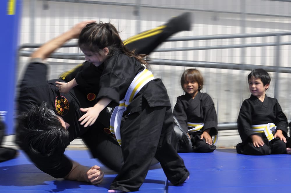 Red Dragon Championship Martial Arts Logo