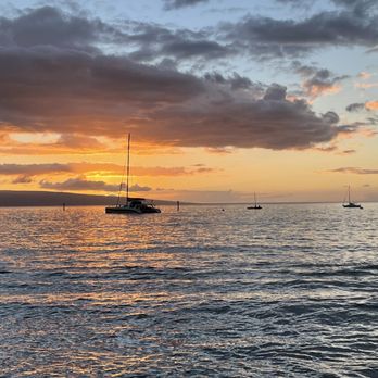 Honu Oceanside - Seafood Near Me - Lahaina, Hawaii Honu Oceanside - Seafood Near Me - Lahaina, Hawaii