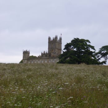 Highclere Castle - Highclere with a meadow of August flowers - Castles Near Me - Newbury, WBK