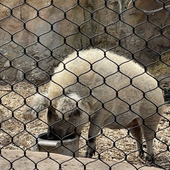 Minnesota Zoo - Zoos Near Me - Apple Valley, Minnesota Minnesota Zoo - Zoos Near Me - Apple Valley, Minnesota