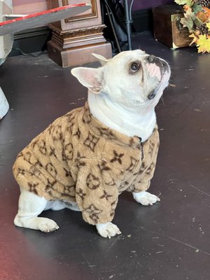 Fur-Kids Boutique by null