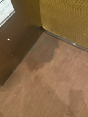 Normandie Apartments by null