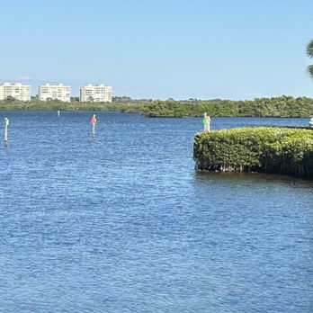 Turtles Restaurant - Bay View - Seafood Near Me - Sarasota, Florida