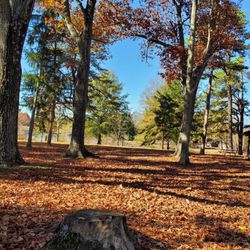 Burba Lake - Wow such beauty in the fall :)