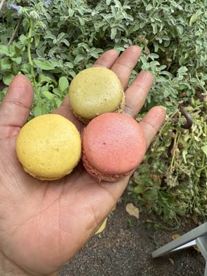 Woodland Park by null