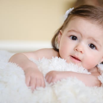 Corey Ann Photography - Photographers Near Me Corey Ann Photography - Photographers Near Me