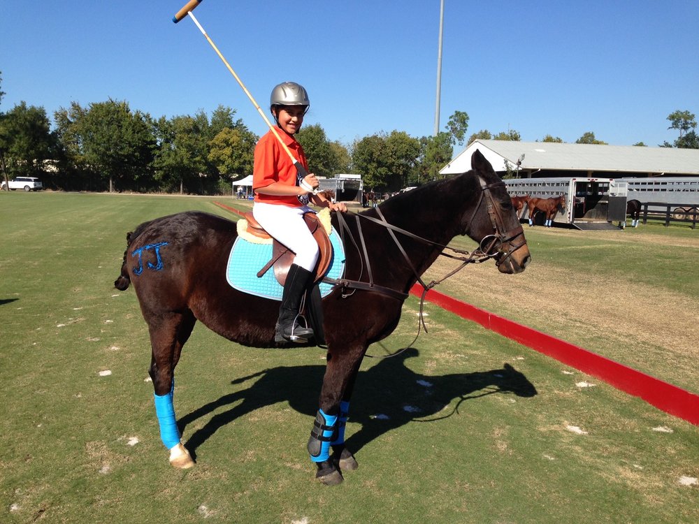 Flanders Polo & Riding Lessons - equestrian in Houston, TX