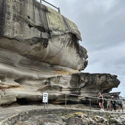 Bondi to Bronte Walk - Rock formation looks like a face. Anyone else see it?