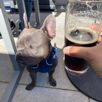 Wondrous Brewing - Breweries Near Me - Emeryville, California