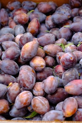 Tonnemaker Valley Farm & Woodinville Farm Stand by null