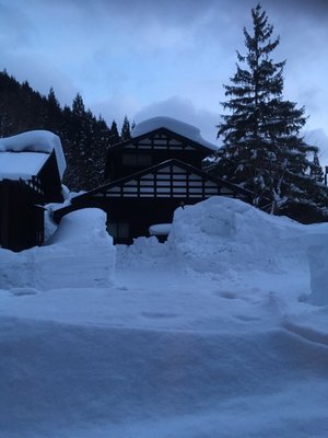 Tsurunoyu Onsen by null