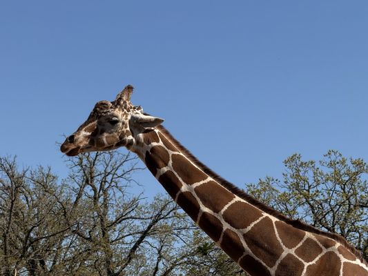 Como Park Zoo & Conservatory by null