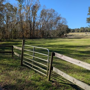 Mill Creek Farm - Animal Shelters Near Me - Alachua, Florida Mill Creek Farm - Animal Shelters Near Me - Alachua, Florida