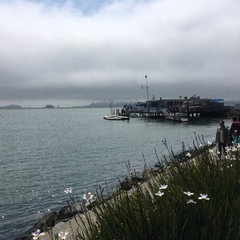 Gabrielson Park - Parks Near Me - Sausalito, California