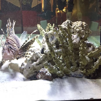 Tokyo Pot - There is an eel in there too! - Japanese Near Me - Stillwater, Oklahoma Tokyo Pot - There is an eel in there too! - Japanese Near Me - Stillwater, Oklahoma