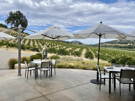 Halter Ranch by null