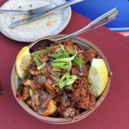 Calamari Calamari