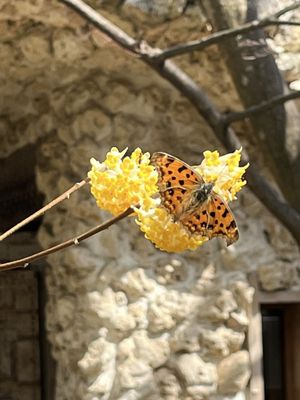 Kubota Itchiku Art Museum by null