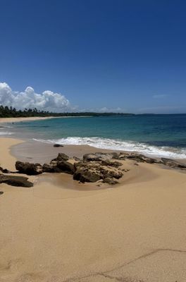 The Ritz Carlton Reserve SPA Botánico by null