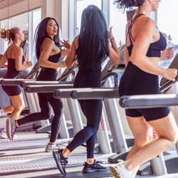 The Woodbridge Fitness Club