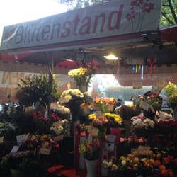 Blütenstand