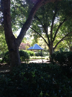 Auburn Botanic Gardens by null