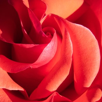 La Crescenta Nursery - Nurseries & Gardening Near Me - Glendale, California