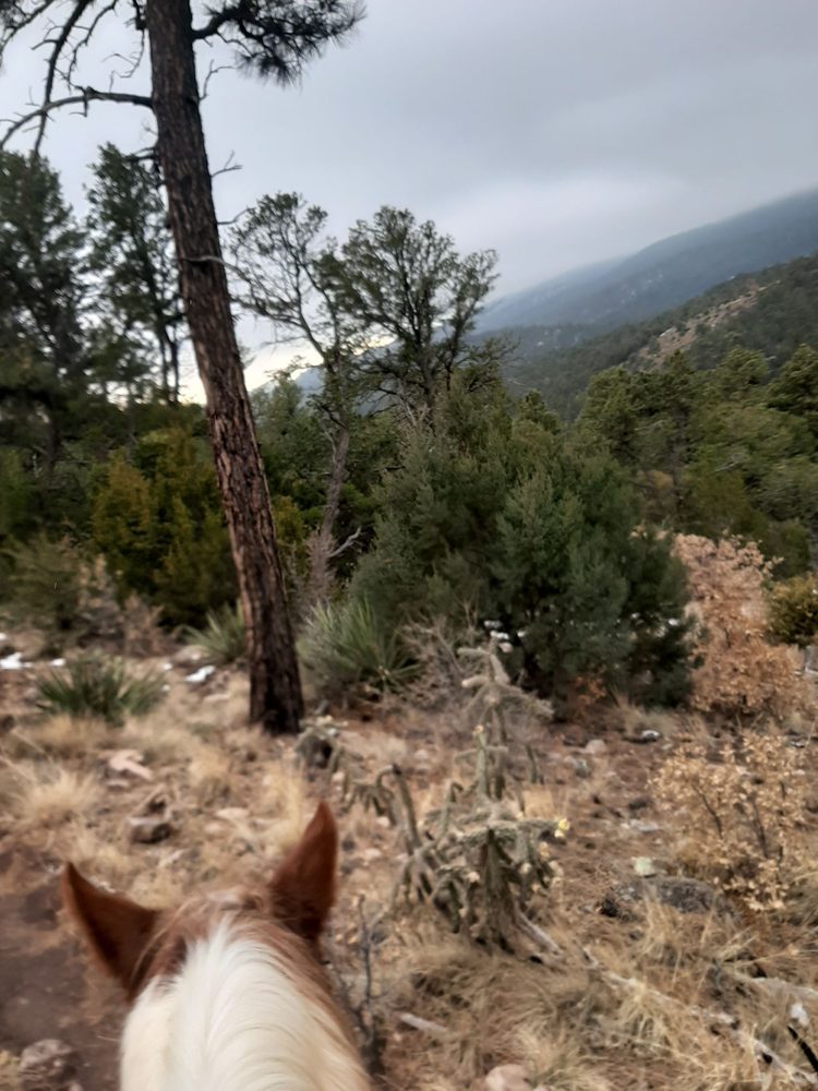 CEDAR CREST COUNTRY COTTAGE AND STABLES Updated June 2024 52 Photos