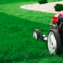 Mav’s Mowing