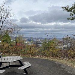 The view