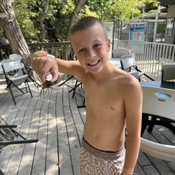 Veyo Pool Resort - Crawdad