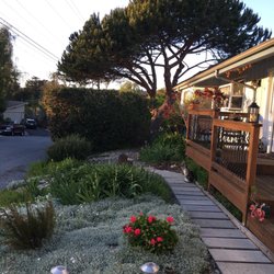 Soquel Tree Service