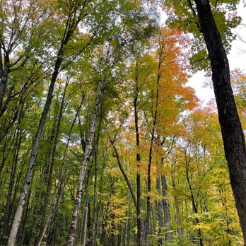 Miners Falls - Miners Fall hike - Hiking Near Me - Munising, Michigan