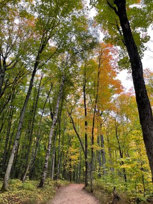 Miners Falls by null