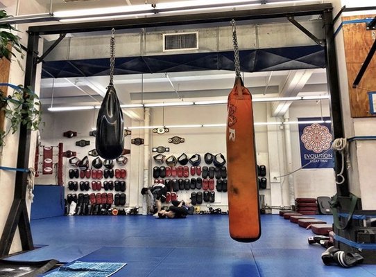 Evolution Muay Thai by null