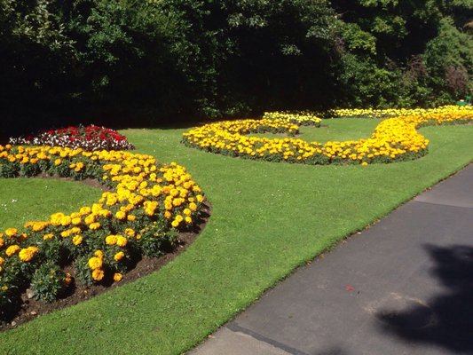 Duthie Park by null