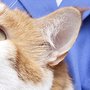 West Geauga Veterinary Hospital