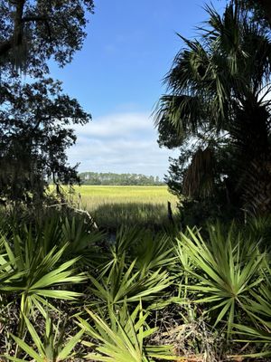 Skidaway Island State Park by null