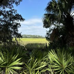 From the trail