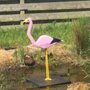 Wildfowl & Wetlands Trust