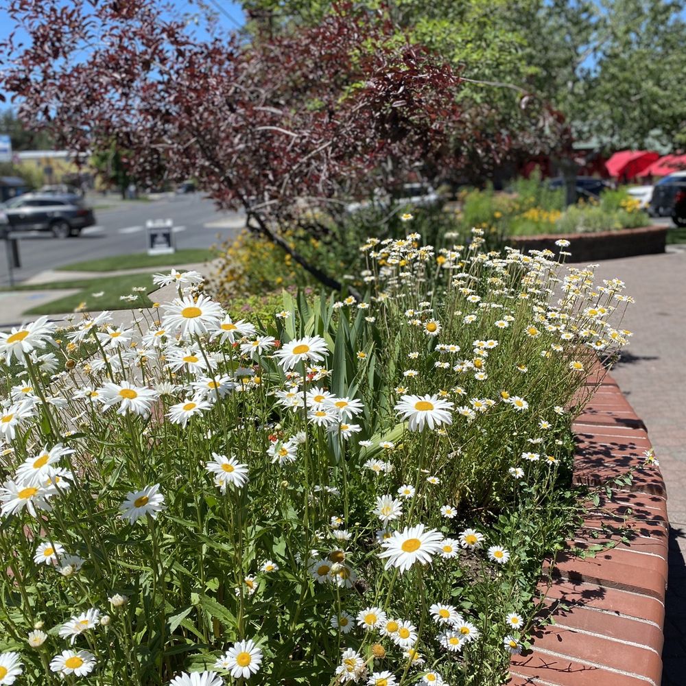 Backporch Coffee Roasters - Outside Back porch Coffee. - Coffee & Tea Near Me - Bend, Oregon