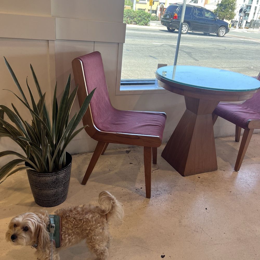 Lemon Grove Coffee - Love their seating - Coffee & Tea Near Me - Lemon Grove, California Lemon Grove Coffee - Love their seating - Coffee & Tea Near Me - Lemon Grove, California