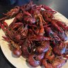Cajun Catfish Buffet gift card