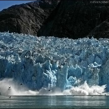 Alaska Waters Inc. - Calving at LeConte Glacier - Boat Charters Near Me - Wrangell, Alaska Alaska Waters Inc. - Calving at LeConte Glacier - Boat Charters Near Me - Wrangell, Alaska