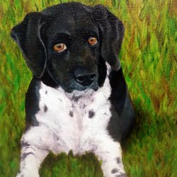 Janet Green Art - Age 12 "My Dog" Oil