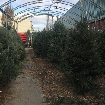 Milena's Garden Center - Best smell! - Nurseries & Gardening Near Me - New Hyde Park, New York Milena's Garden Center - Best smell! - Nurseries & Gardening Near Me - New Hyde Park, New York