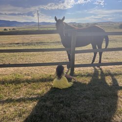 Elijah's Rest Cabins and Breakfast - Beautiful friendly horses